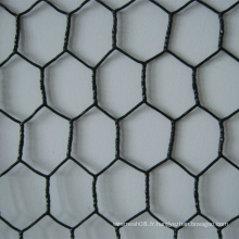 Fil hexagonal de fil après PVC enduit